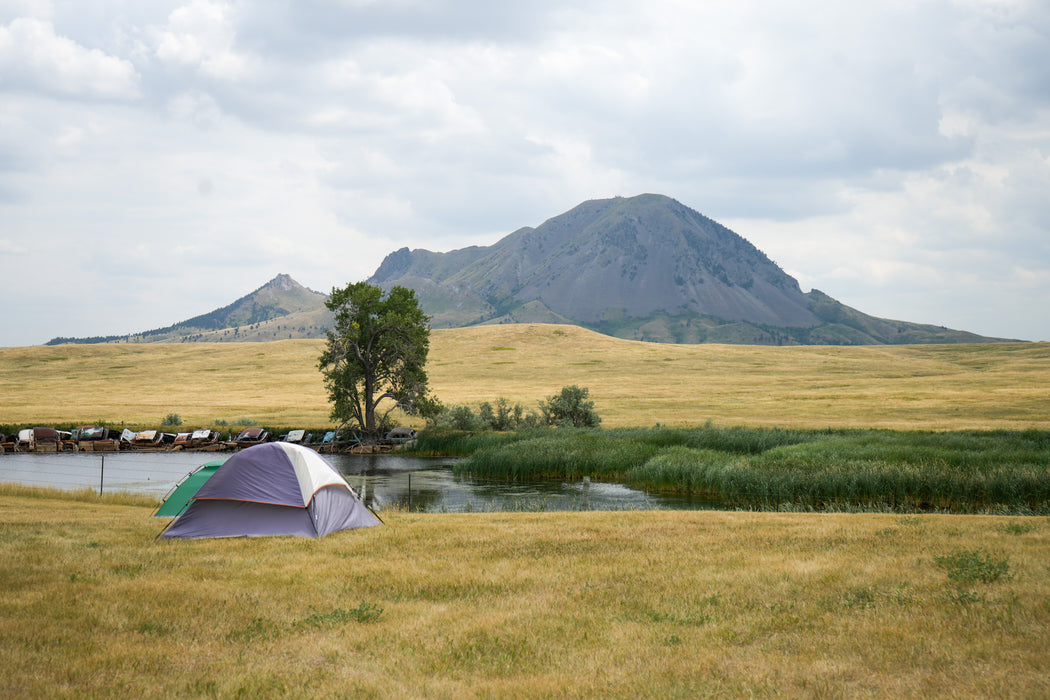 Tent and Picnic Shelters 2025