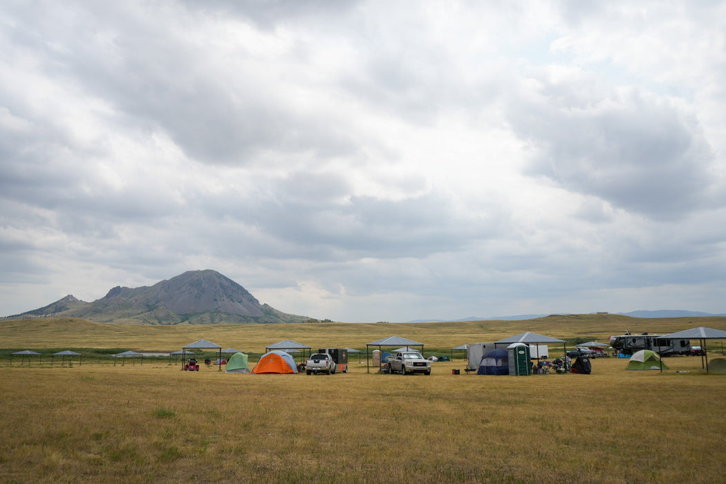 Tent and Picnic Shelters 2026