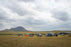 Tent and Picnic Shelters 2026