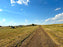 2026 Iron Head RV Park - (40' X 55') PULL THROUGH SITES (Sites 500 to 598)